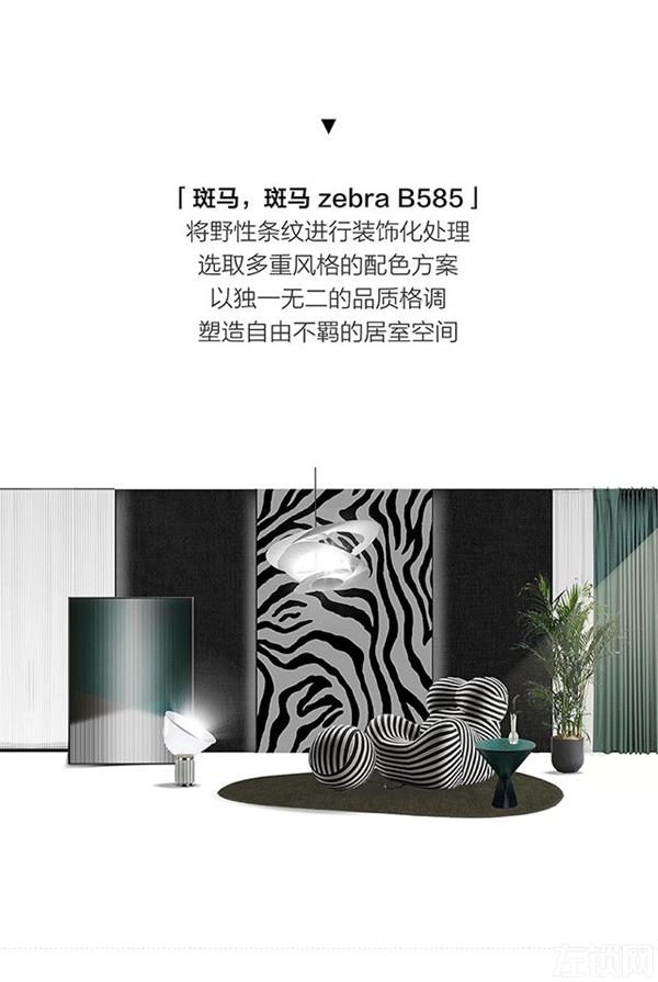 雅琪诺《斑马 zebra /B585》推介